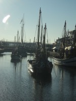 /album/galleria-fotografica/dsc00481-jpg/