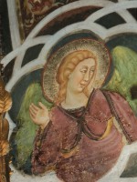 /album/galleria-fotografica/dsc00524-jpg/